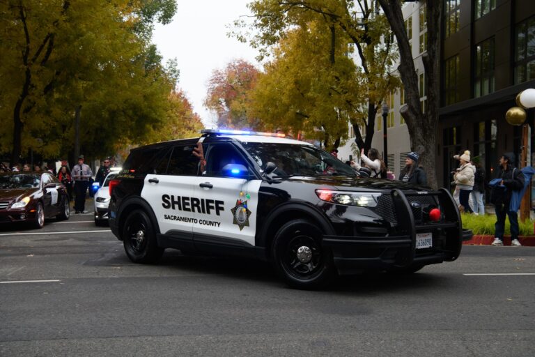 بازداشت  ۲۵ نفر در عملیات دزدی سازمان‌یافته در سکرمنتو